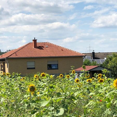 Ferienwohnung Carpe Diem Scheuerfeld Kültér fotó