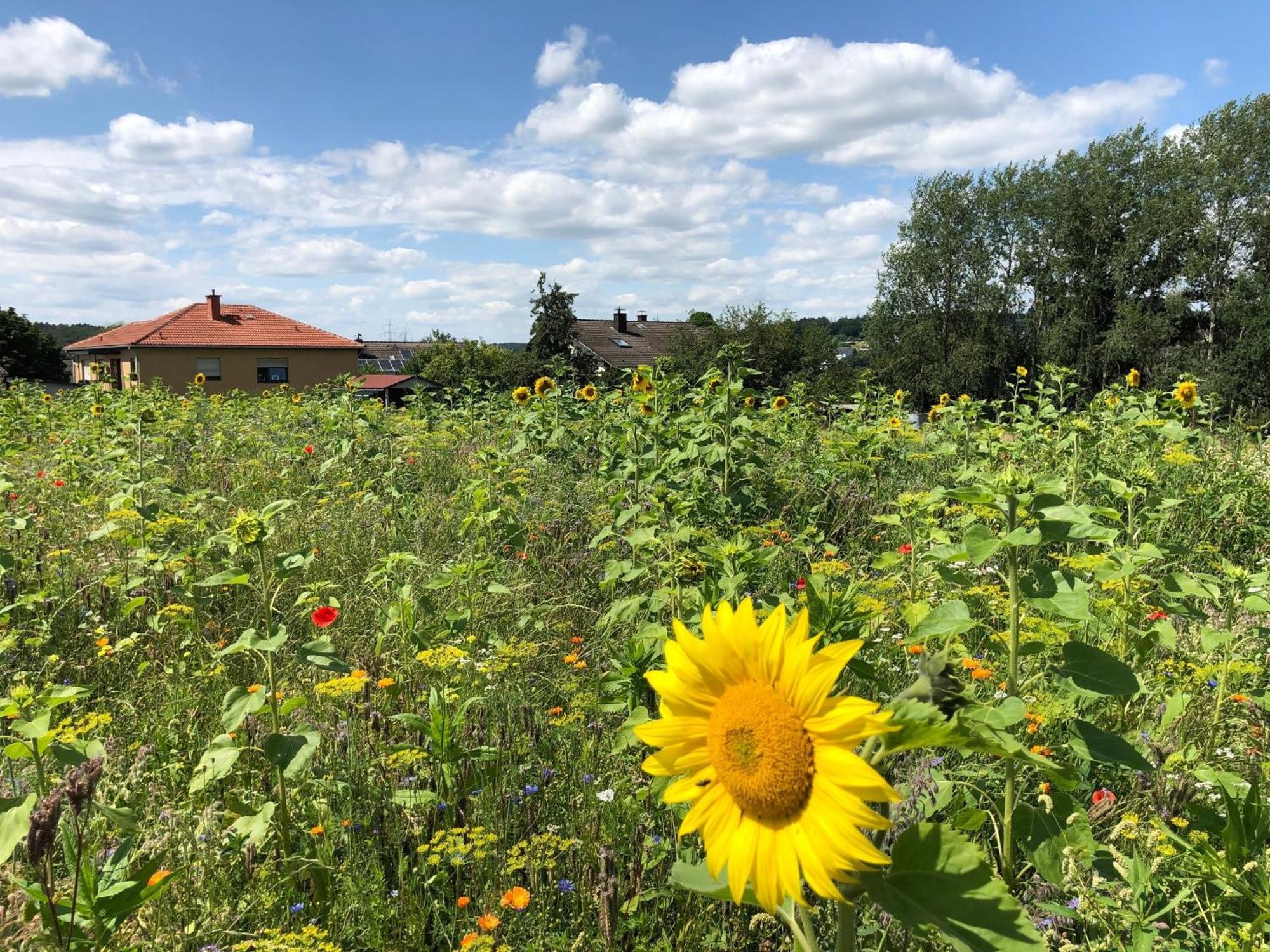 Ferienwohnung Carpe Diem Scheuerfeld Kültér fotó